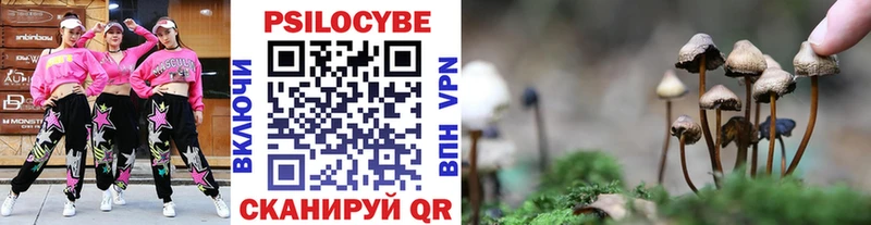 Галлюциногенные грибы MAGIC MUSHROOMS  площадка наркотические препараты  Надым 